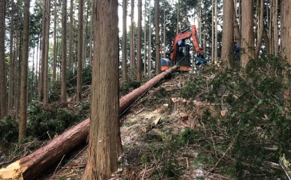 山の管理